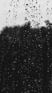 Sounds of Rain